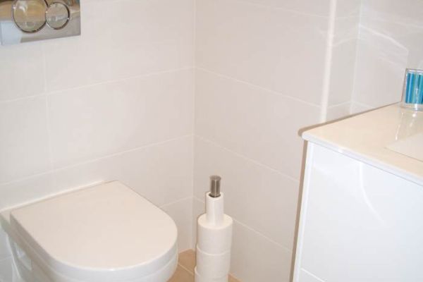 toilet